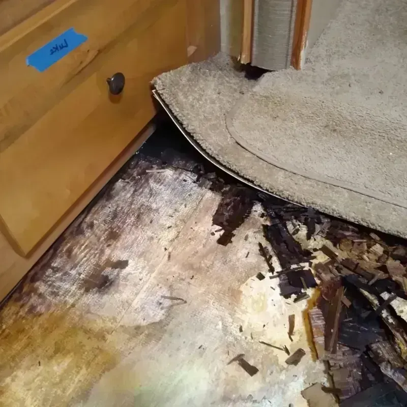 Wood Floor Water Damage in Diboll, TX